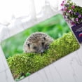 thumbnail image 1 of PKQWTM Wild Hedgehog On A Green Moss Covered Log With A Green Home Decor Floor Mat Area Rug Doormat Size 18x30 Inches, 1 of 1