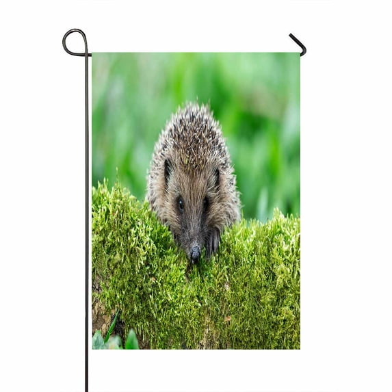 PKQWTM Wild Hedgehog On A Green Moss Covered Log With A Green Yard Decor Home Garden Flag Size 12x18 Inches