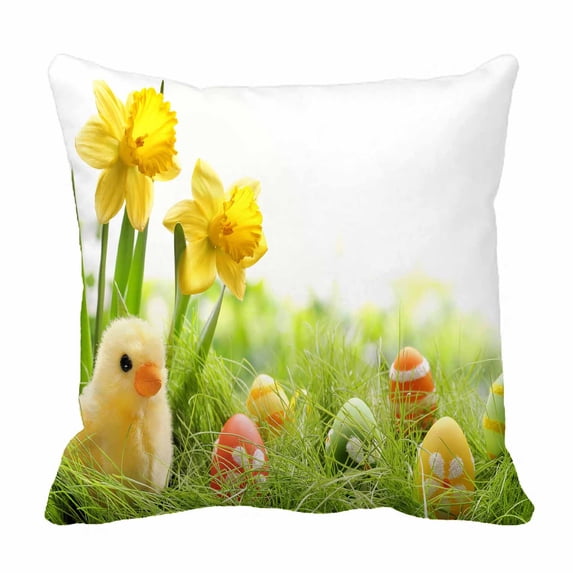 PKQWTM Yellow Easter Chick And Easter Eggs In A Field Bed Decor Pillow Cases Zippered Cushion Cover Size 20x20 Inches