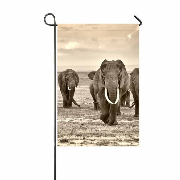 PKQWTM elephants walking group on the African Yard Decor Home Garden Flag Size 12x18 Inches