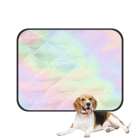 PKQWTM holo Pearlescent element pastel hues Pet Dog Cat Bed Pee Pads Mat Cushion Potty Dogs Blankets Crate Bed Kennel 25x30 inch