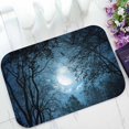 thumbnail image 1 of PKQWTM moonlight Home Decor Floor Mat Area Rug Doormat Size 15.7x23.6 Inches, 1 of 1