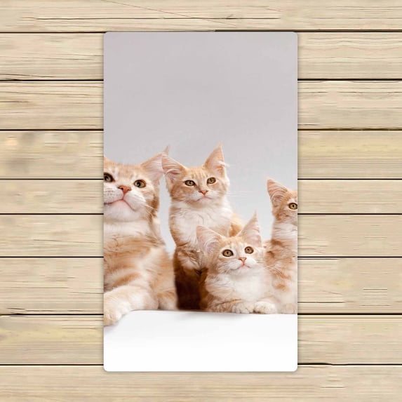 PKQWTM red little kittens Microfiber Bath Towels Bathroom Body Shower Towel Size 16x28 Inches