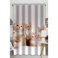 thumbnail image 1 of PKQWTM red little kittens Practical heat insulation Shading Window Curtain Size 52(W) x 84(H) inches(One Piece), 1 of 1