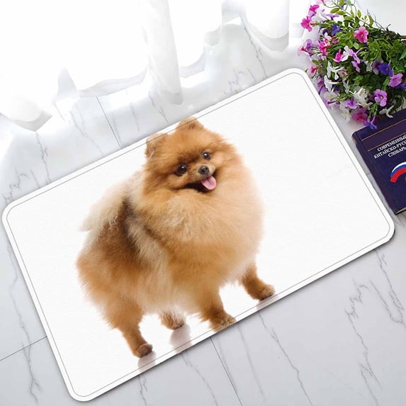 PKQWTM spitz Pomeranian dog Home Decor Floor Mat Area Rug Doormat Size 18x30 Inches