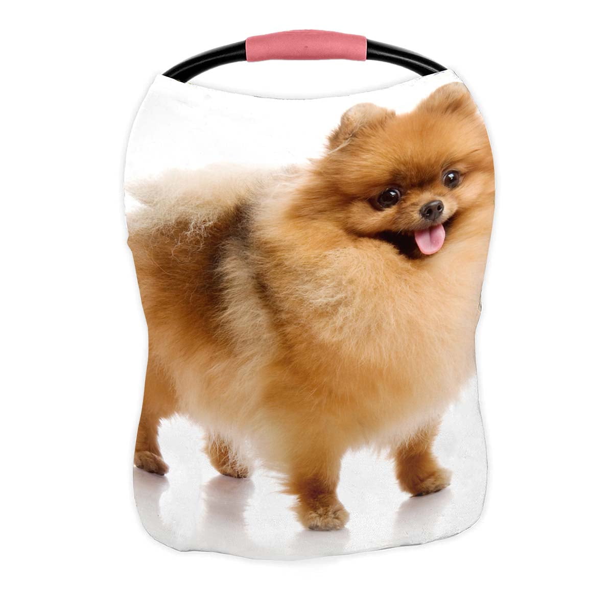 Spitz dog cheap baby