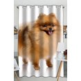 thumbnail image 1 of PKQWTM spitz Pomeranian dog Practical heat insulation Shading Window Curtain Size 52(W) x 84(H) inches(One Piece), 1 of 1
