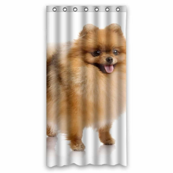 PKQWTM spitz Pomeranian dog WaterProof Polyester Fabric Shower Curtain Size 36x72 Inches