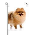 thumbnail image 1 of PKQWTM spitz Pomeranian dog Yard Decor Home Garden Flag Size 28x40 Inches, 1 of 1