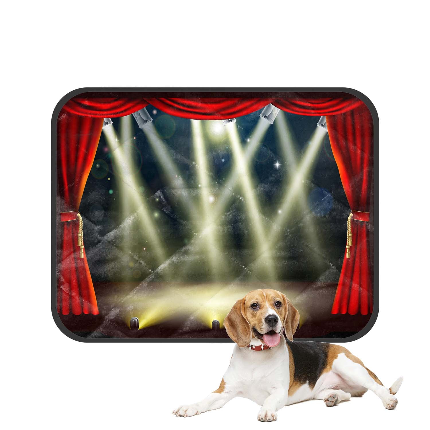 PKQWTM theater stage lights spotlights footlights Pet Dog Cat Bed Pee