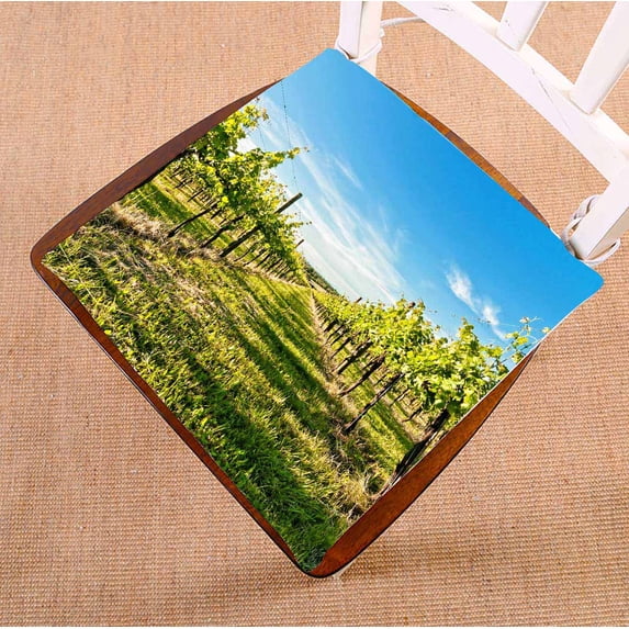 PKQWTM vineyard springtime in Reggio Emilia hills Italy Chair Pads Chair Mat Seat Cushion Chair Cushion Floor Cushion Size 16x16 inches