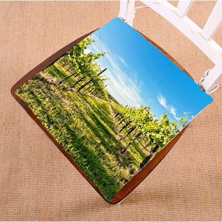 PKQWTM vineyard springtime in Reggio Emilia hills Italy Chair Pads Chair Mat Seat Cushion Chair Cushion Floor Cushion Size 18x18 inches