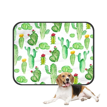 PKQWTM watercolor cactus cacti Pet Dog Cat Bed Pee Pads Mat Cushion Potty Dogs Blankets Crate Bed Kennel 28x36 inch