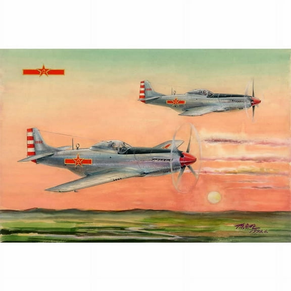 PLAAF P-51D/K Mustang 1/48 Scale Plastic Model Kit Hobby Boss