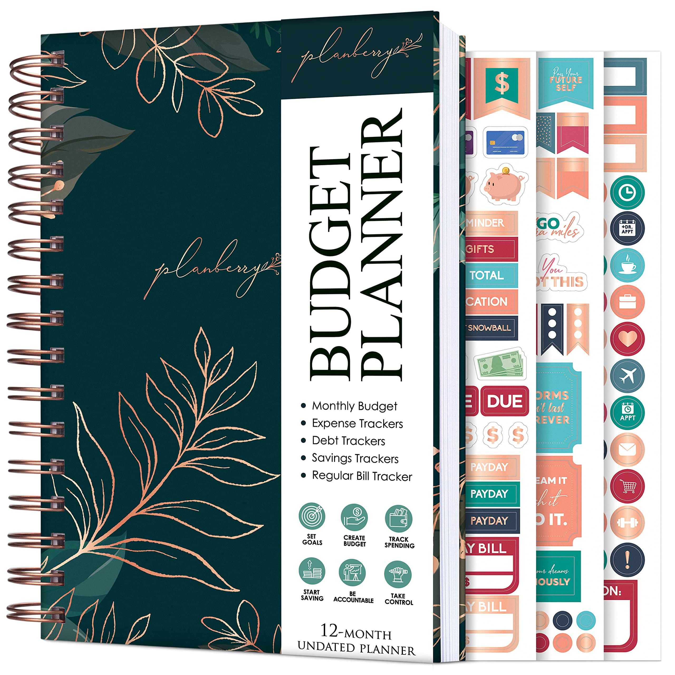 PLANBERRY Budget Planner â€“ Undated Monthly Finance Organizer â ...