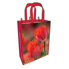 PLANET E Eco-Friendly Reusable Shopping Bag, Red