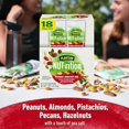 PLANTERS NUTrition Heart Healthy Nut Mix, Snack Mix, 1.5 oz, 18 Count