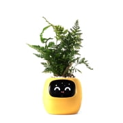 PLANTSIO Smart pet Planter Robot Guidance on Plant Care with Emojis, Adorable Plant Companion with Rich Gesture Interaction, Neat Desk Setup Gift Yellow