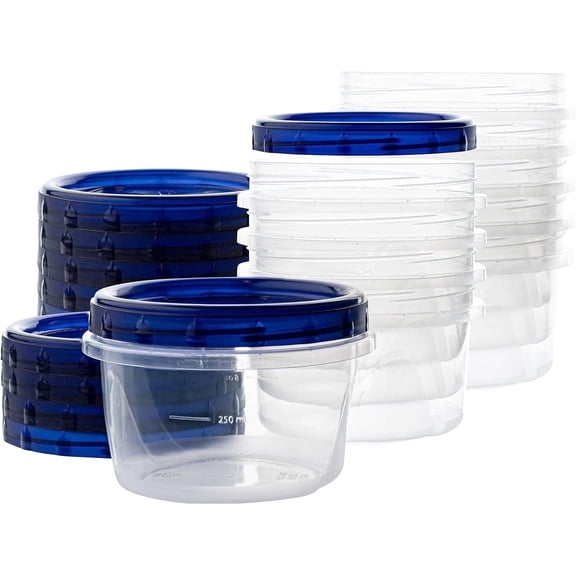 PLASTICPRO Clear Deli Containers with Lid Reusable Small Plastic Container Set, 10-Pack 16 Oz