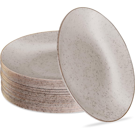 PLASTICPRO Granite Plastic Dinner Plates 9” Elegant Plastic Plates Party Supplies, 30-Pack