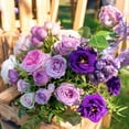 PLATAGO Mixed Lisianthus Seeds for Planting Annual Lisianthus Double