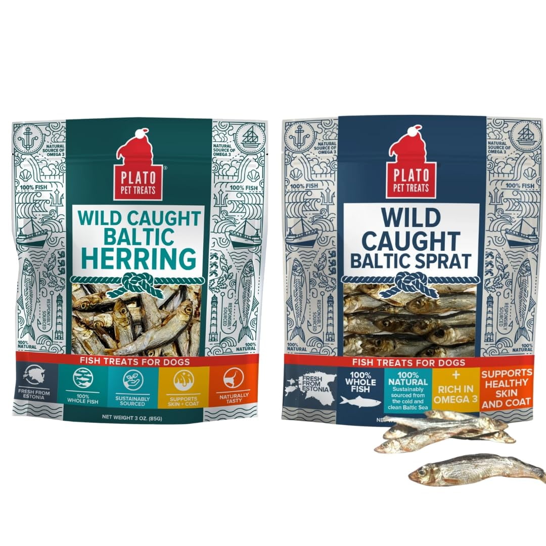 Wild thickness Caught Baltic Sprat Fish