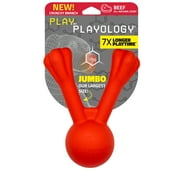 Play by Playology | Crunchy Branch Dog Toy for Large Dogs, Beef Scented