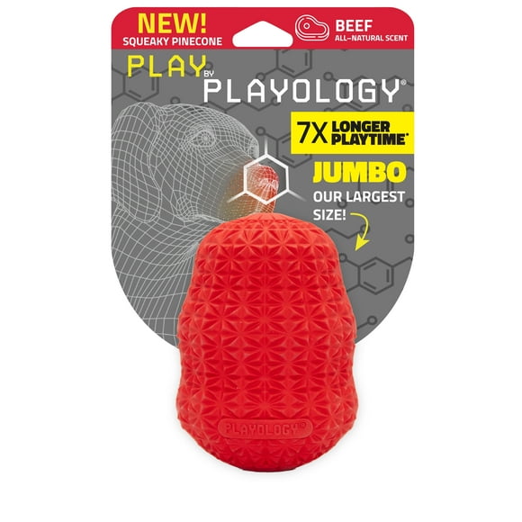 Play by Playology | Squeaky Pinecone Dog Toy for Large Dogs, Beef Scent