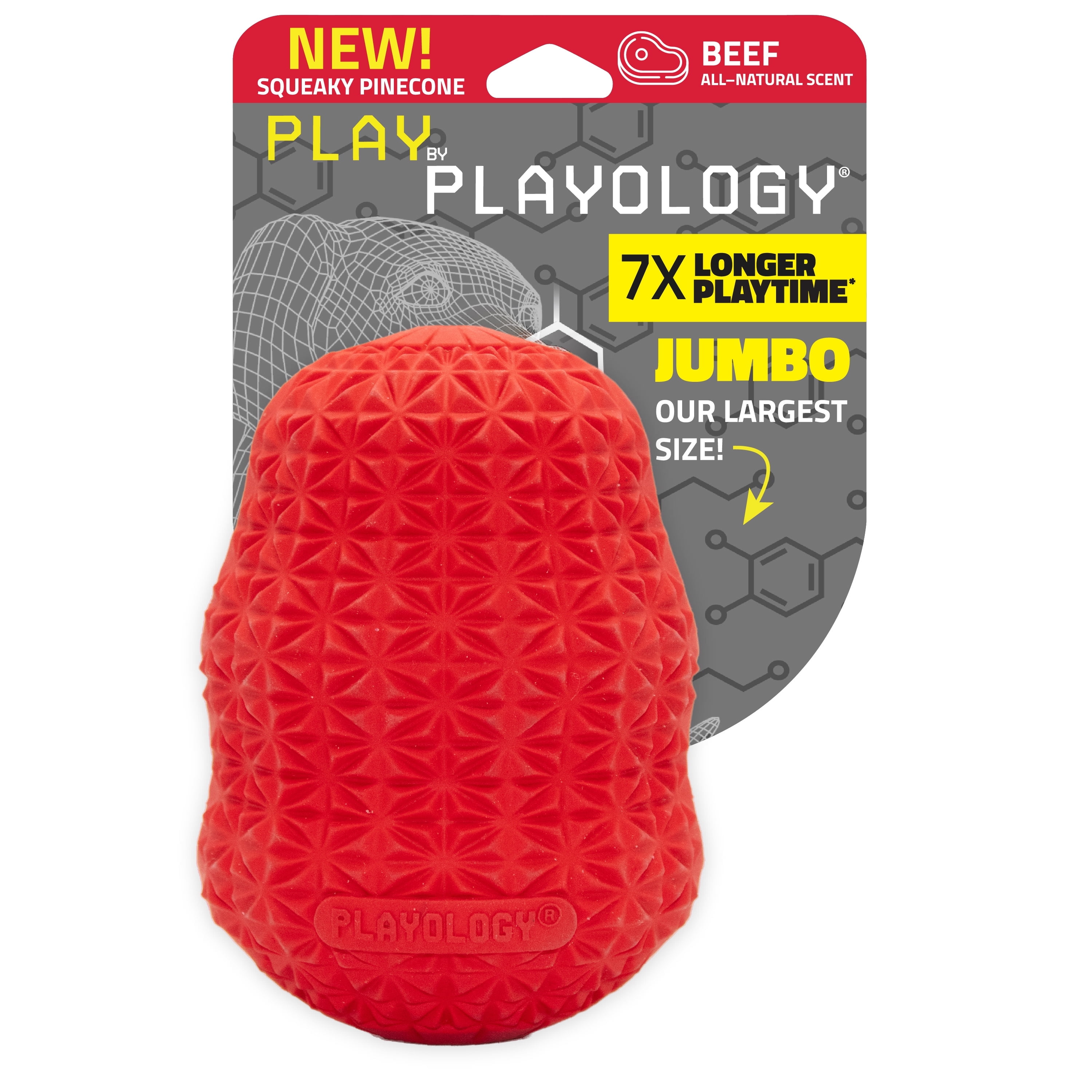 Play by Playology Dog Toys | Interactive Dog Toy | Pinecone, Beef Scented Chew Toy, Large