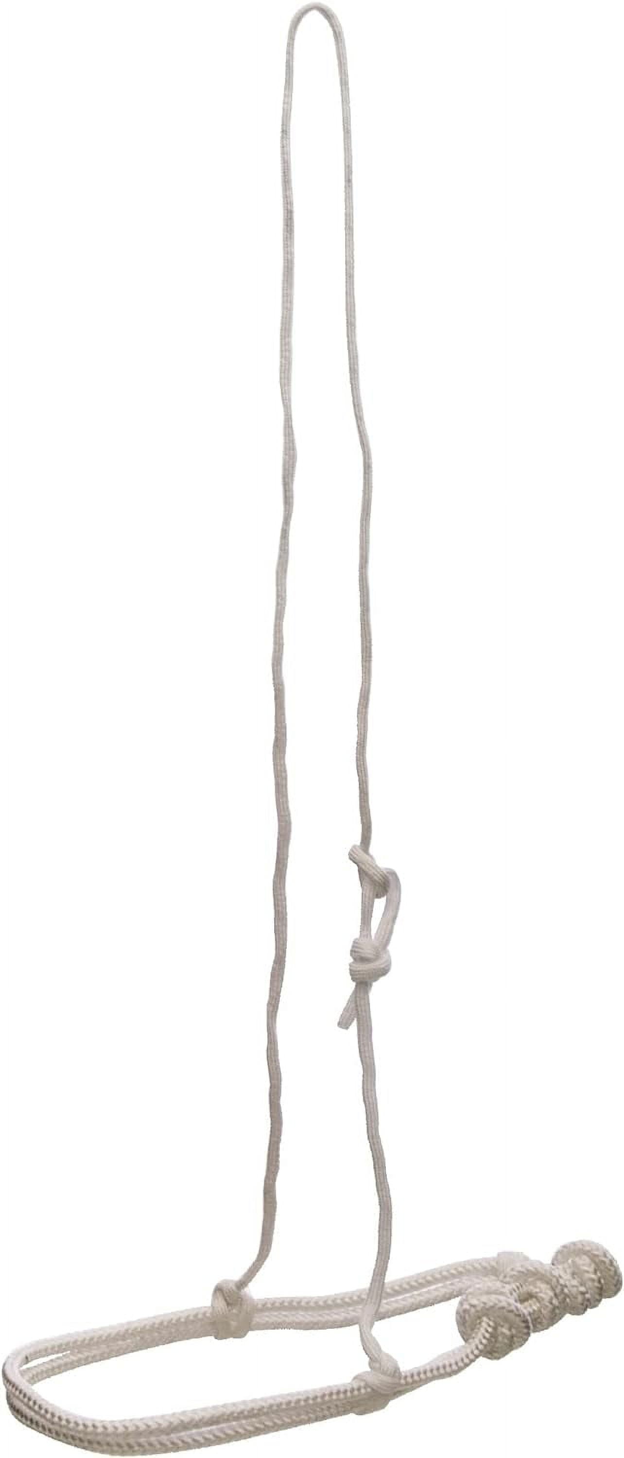 PLESIU Fg Collection Francois Gauthier Rope Noseband - PP - White ...