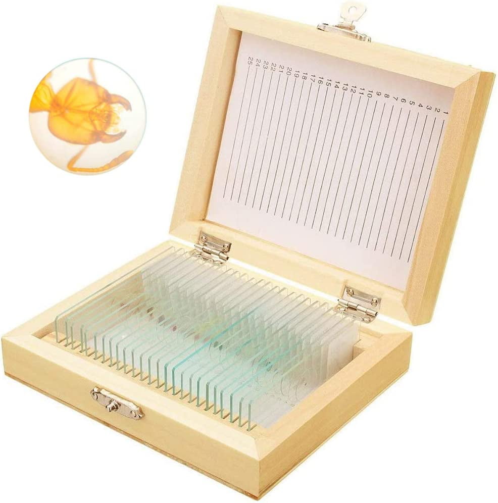 PLFL Prepared Microscope Slides with Specimens for Kids, 25 Sample