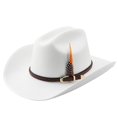 thumbnail image 1 of PLHWHYQ Vintage Short Brim Hat for Men Women, Faux Suede Dress Hat with Decorative Feather & Metal Badge White-d A, 1 of 4