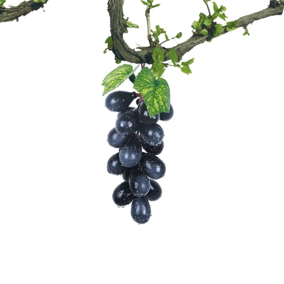 PLJFXXM 1 bunches Large Bunch Artificial Grape Lifelike Artificial Grapes Decor Hanging Rubber Grape Bundles Rubber Grapes in for Wedding Kitchen Photography Decoration