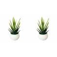 thumbnail image 1 of PLJFXXM 2 Pcs Large Artificial Succulent With Plastic White Pot Artificial Aloe Plant Fake Succulents Artificial Succulents Used for Garden Office Home Indoor Outdoor Decoration, 1 of 3