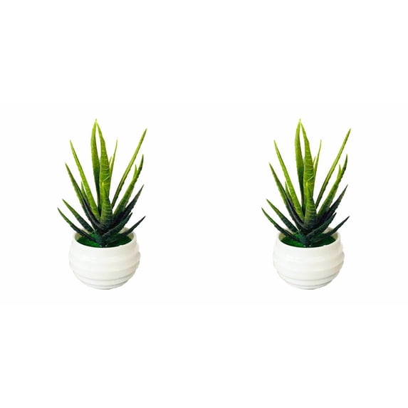PLJFXXM 2 Pcs Large Artificial Succulent With Plastic White Pot Artificial Aloe Plant Fake Succulents Artificial Succulents Used for Garden Office Home Indoor Outdoor Decoration