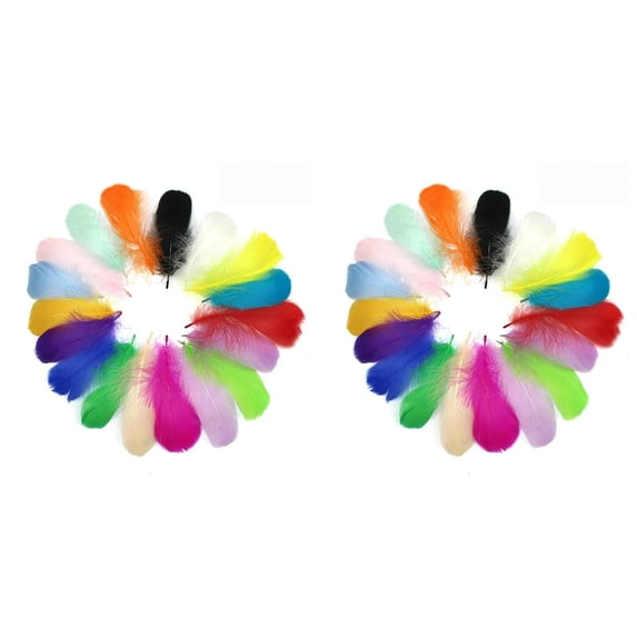 PLJFXXM 200 Pcs Colorful Feathers Bulk Craft Rooster Feathers for Crafting, Art Projects, DIY Crafting, Wedding Home Party Decorations,Dream Catcher SuppliesDecoration (Colorful)