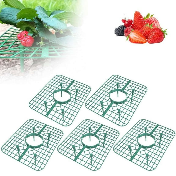 PLJFXXM 5 Pack Strawberry Plant Support, Strawberry Planting Stand, Keeping Strawberry Plants Clean, Strawberry Growing Racks, Strawberry Growing Frame (Green)