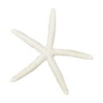 thumbnail image 1 of PLJFXXM Colorful Coral Reef Decor, Mini Faux Coral Decor for Aquarium Decorations, 4inch (White), 1 of 6