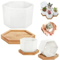 PLJFXXM Hexagon Bamboo Plant Saucer - 3 Inch Drainage Tray for Small Plants & Pots, Natural Water Catcher for Indoor Planters