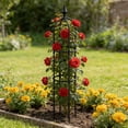 thumbnail image 1 of PLPPYFS 3.8ft Garden Obelisk Trellis for Climbing Plants Rustproof Plastic Pipe Garden Outdoor Indoor Potted Plant Support for Clematis Vine Jasmine Support, 1 of 6