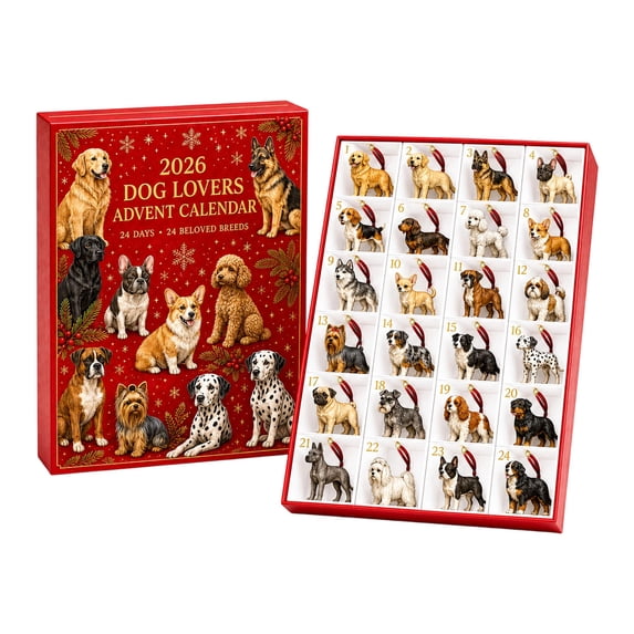 PLPPYFS Christmas Advent Calendar 2026, 24-Day Christmas Advent Calendar, 24 Cute Collectible Mini Figures, Daily Holiday Countdown Surprise Gift