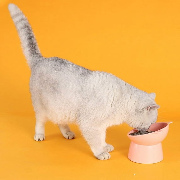 PLPPYFS Tilted pet Bowl, Slanted Dog Cat Food Bowl Heavy Duty, Double Wall Insulated, Non-Slip Elevated Bowl for Cats and Small Dogs Puppy French Pugs Cats, Anti Rust Dishwasher Safe