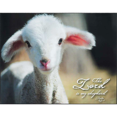 thumbnail image 1 of PLQ WALL LORD IS MY SHEPHERD PS.23:1 MDF, 1 of 1