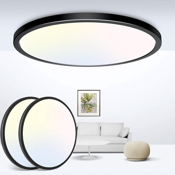 PLUHKN-Black Ceiling Light 9 Inch,24W 2400lm Bright LED Flush Mount Light Fixture 3000K/4500K/6000K Adjustable,Thin Flat Ceiling Lamp for Bathroom Closet Pantry Hallway - 2Pack
