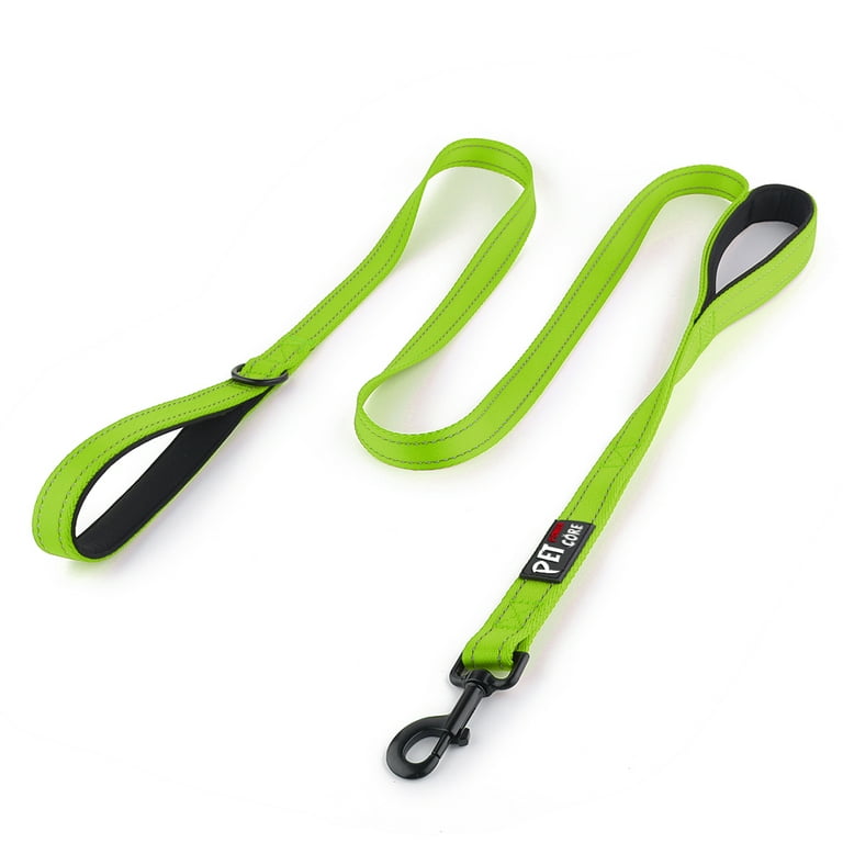2 handle leash 2025