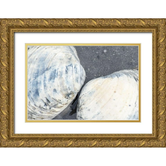 PLank, Savanah 14x11 Gold Ornate Wood Framed with Double Matting Museum Art Print Titled - Alaska-Ketchikan-clam shells on beach