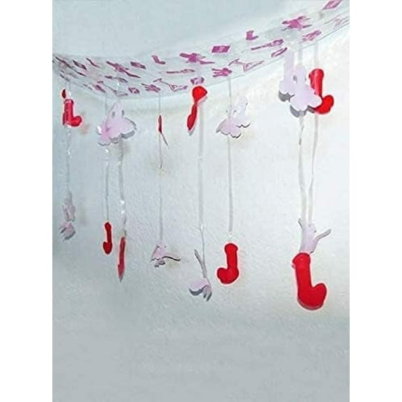 PMU Bachelorette Party Decor, Bridal Shower Decorations, Fun Garland Banner, Hen Party Celebration Supplies, Party Sign Decorations, Pkg/1