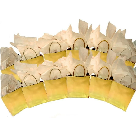 PMU Gold Foil Cube Gift Bags Pkg/12