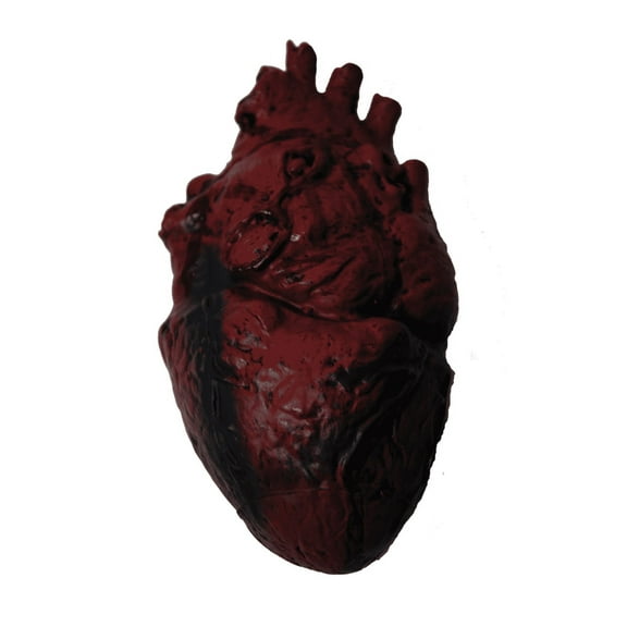 PMU Simulated Body Parts,Learning Resources Anatomy Heart, Classroom Demonstration Tools, Fake Heart, Realistic Heart Halloween, Prank Toys Pkg/6