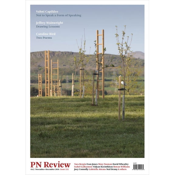 PN Review PN Review 232, (Paperback)